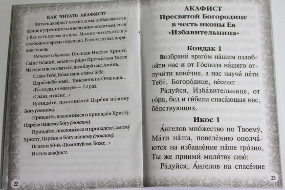 Акафист Пресвятой Богородице "Избавительница"